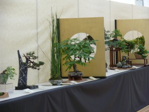 Pots en compétition à la Crespi Pot Cup