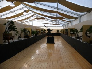 Salle d'exposition Crespi Bonsai Cup