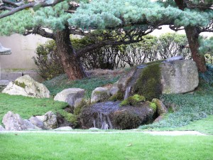 Cascade Jardin Japonais Cascade du jardin japonisant chez Crespi Bonsai