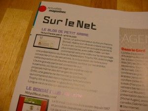 petit-arbre.com dans Esprit Bonsai
