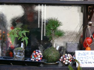 kokedama with a pinus in Kyoto