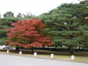 Palais impérial de Kyoto