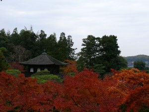 Jardin japonais Kyoto