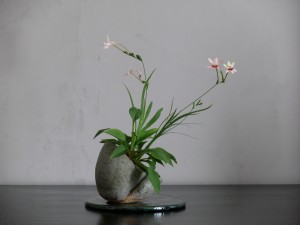 anomatheca laxa en kusamono