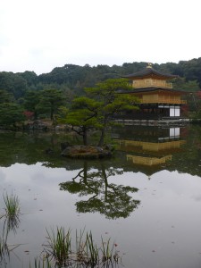 kinkakuji et pins