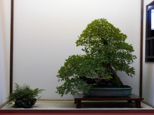 tokonoma Saulieu 2014