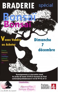 Braderie Bonsaï