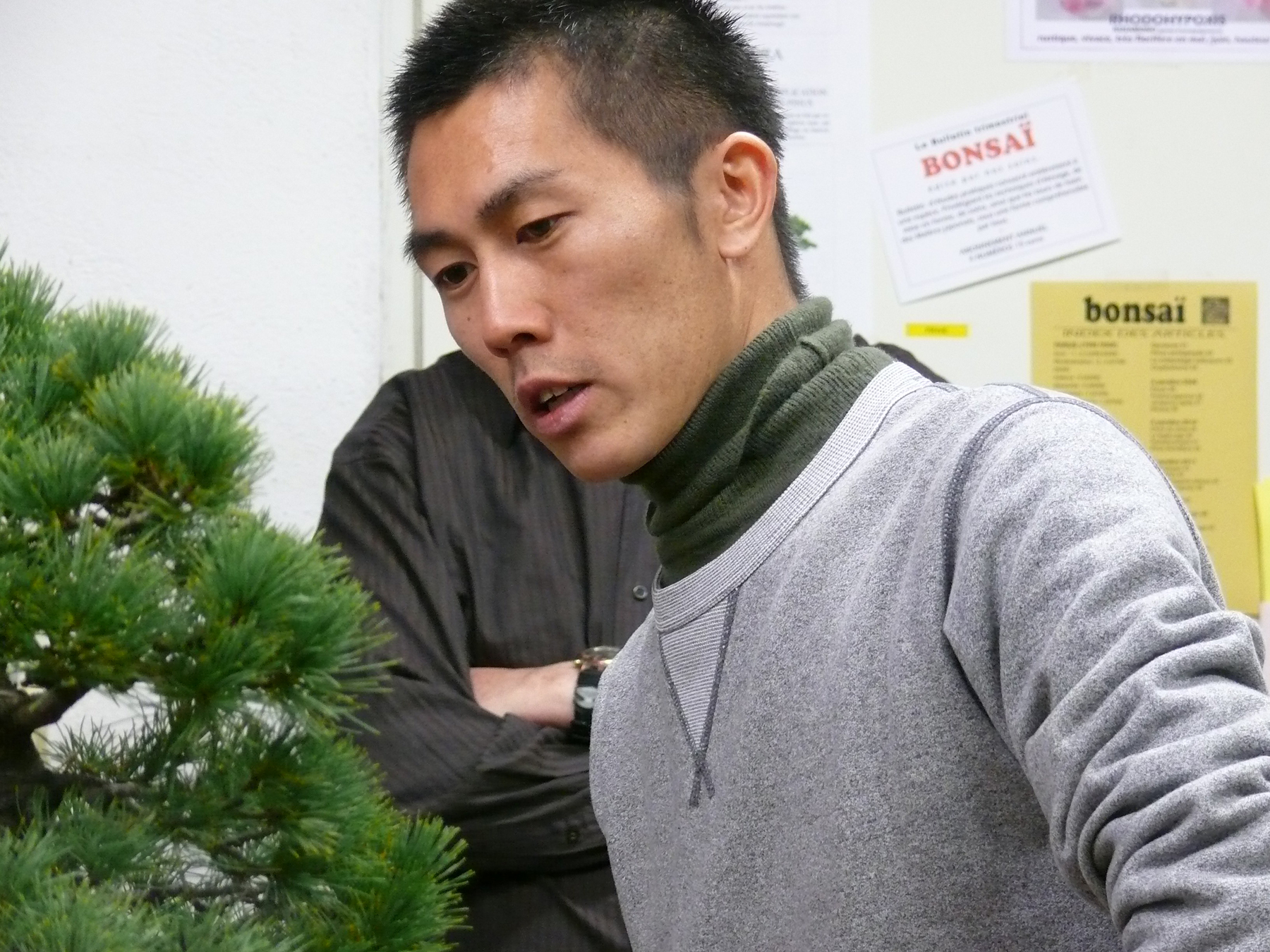 Shiino Kentaro, le plus jeune maitre bonsai du Japon