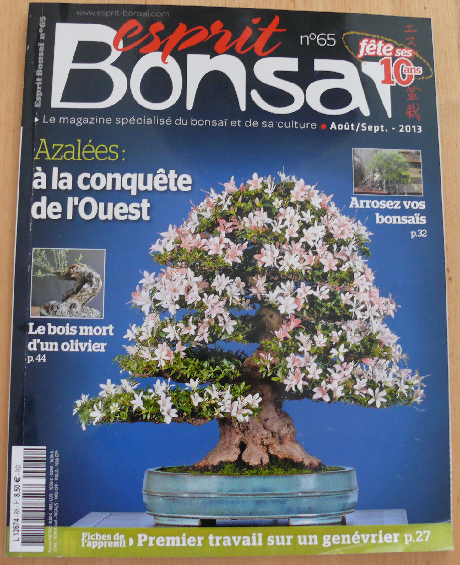 Couverture Esprit Bonsaï numéro 65