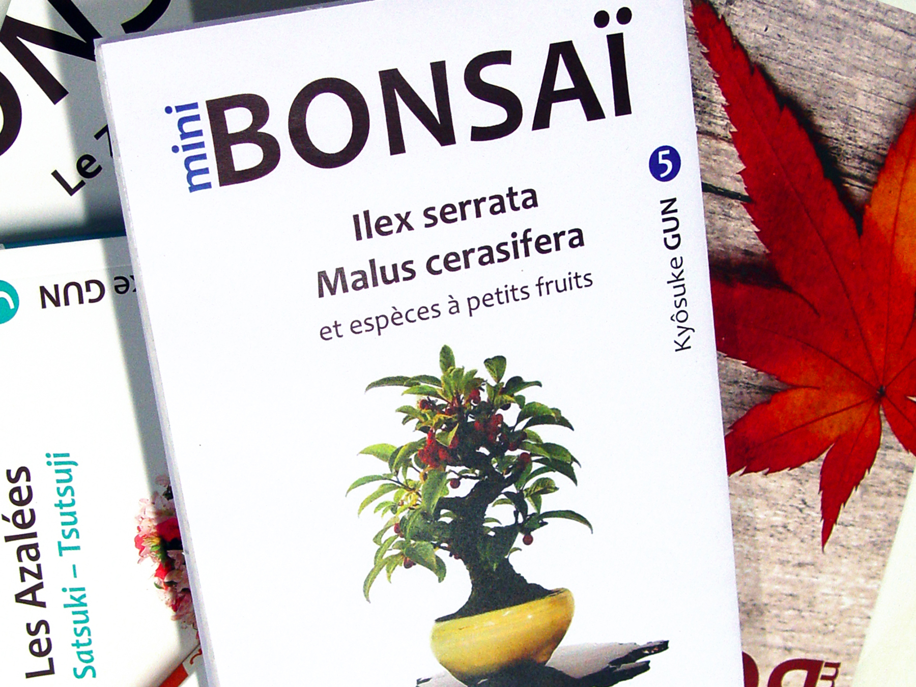 Livre mini bonsai Kyosuke Gun Maillot Bonsai