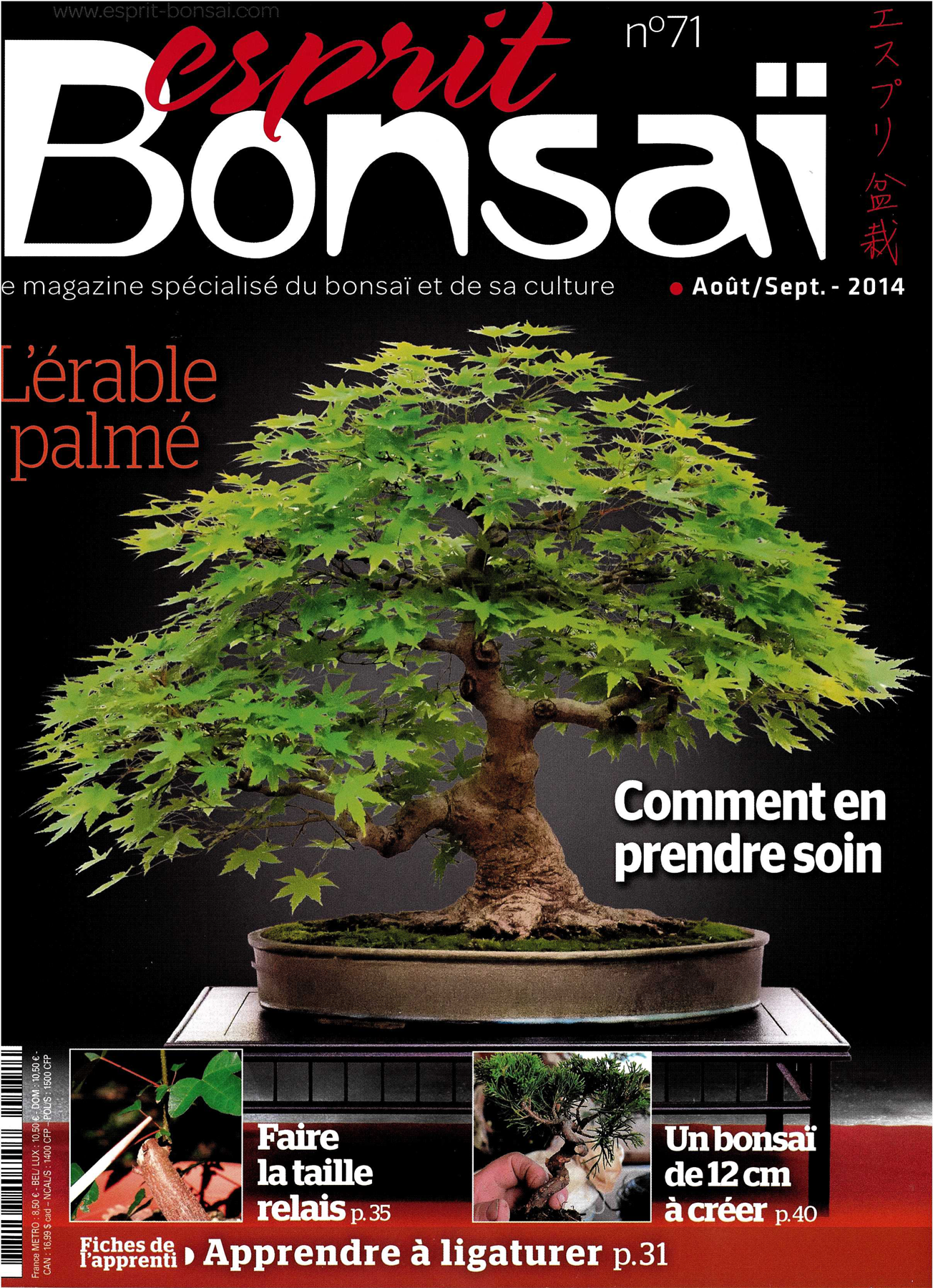 Esprit Bonsai 71