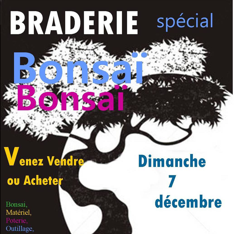 braderie bonsai 7 décembre 2014